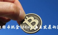 深入探索比特币现金(BCH