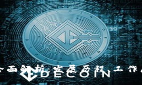 虚拟币系统的全面解析：发展历程、工作原理与未来趋势