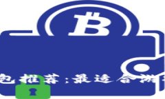 2023年虚拟币钱包推荐：最