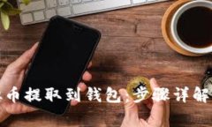 如何将虚拟币提取到钱包
