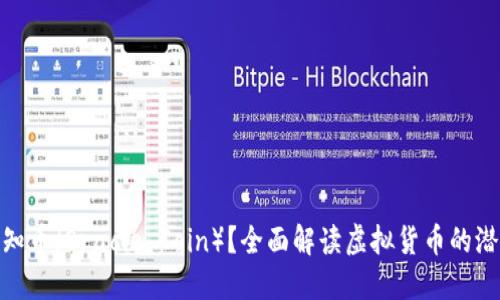 什么是先知币（Oracle Coin）？全面解读虚拟货币的潜力与风险