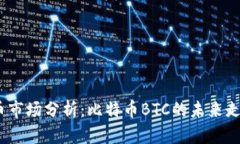 2023年虚拟币市场分析：比
