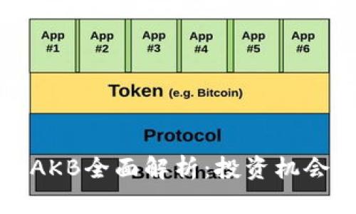 虚拟币AKB全面解析：投资机会与风险