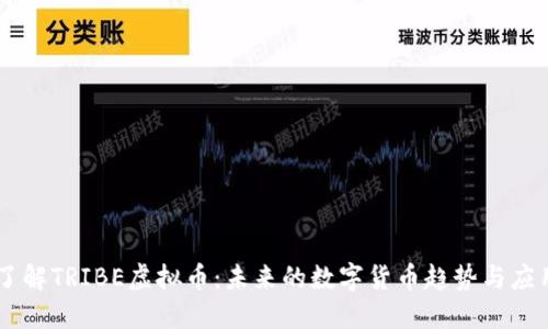 了解TRIBE虚拟币：未来的数字货币趋势与应用
