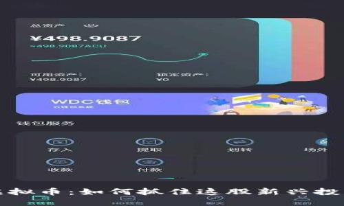 泡菜虚拟币：如何抓住这股新兴投资潮流