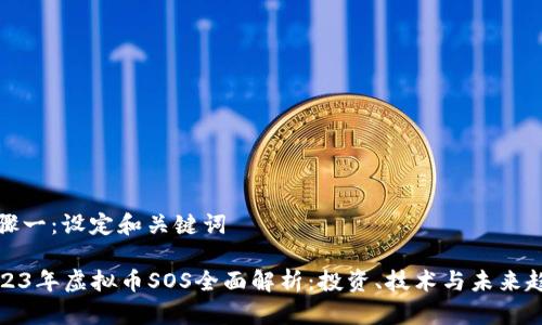 步骤一：设定和关键词

2023年虚拟币SOS全面解析：投资、技术与未来趋势