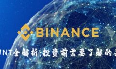 虚拟币UNT全解析：投资前
