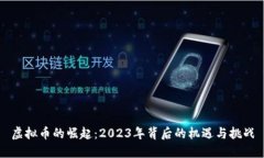 虚拟币的崛起：2023年背后