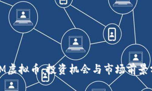 MDM虚拟币：投资机会与市场前景分析