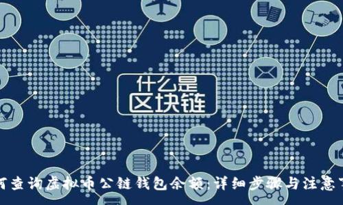 :
如何查询虚拟币公链钱包余额：详细步骤与注意事项