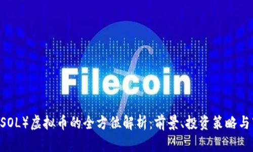 Solana（SOL）虚拟币的全方位解析：前景、投资策略与市场潜力