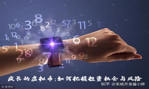 疯长的虚拟币：如何把握投资机会与风险