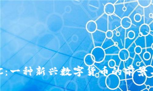 虚拟币QTC：一种新兴数字货币的前景与风险分析