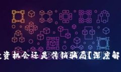 虚拟币到底是投资机会还
