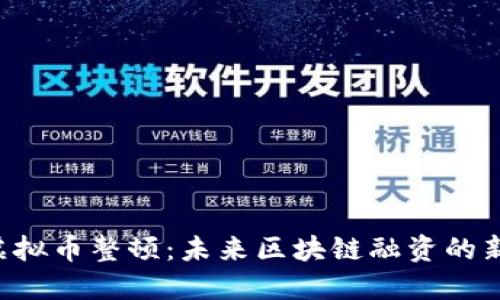 ICO虚拟币整顿：未来区块链融资的新方向