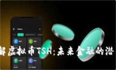  深入了解虚拟币TSH：未来