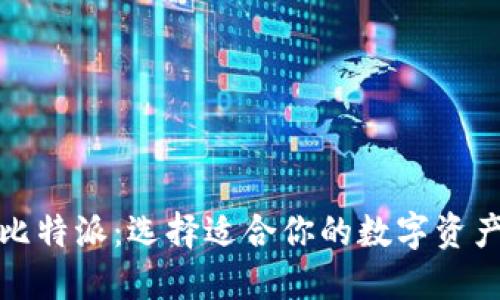 TP钱包与比特派：选择适合你的数字资产管理工具
