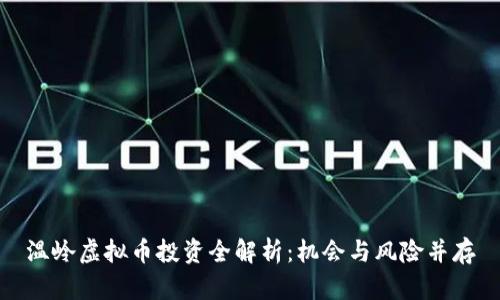 温岭虚拟币投资全解析：机会与风险并存