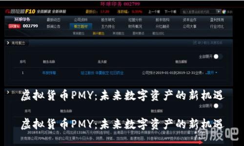 虚拟货币PMY：未来数字资产的新机遇

虚拟货币PMY：未来数字资产的新机遇