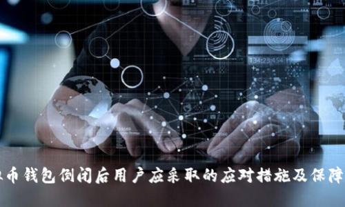 虚拟币钱包倒闭后用户应采取的应对措施及保障方案