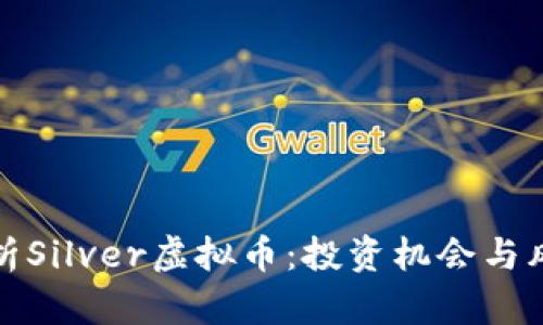 全面解析Silver虚拟币：投资机会与风险评估