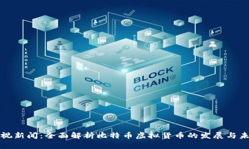 央视新闻：全面解析比特币虚拟货币的发展与未来
