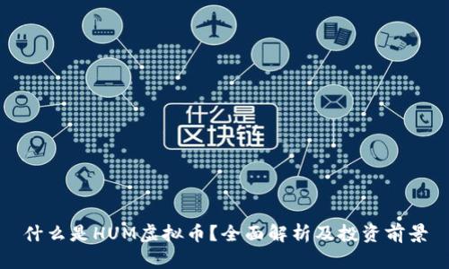 什么是HUM虚拟币？全面解析及投资前景