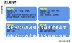 虚拟币ISP：深度剖析与投
