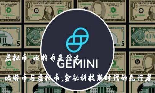 虚拟币 比特币是什么

比特币与虚拟币：金融科技新时代的先行者