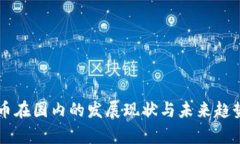 虚拟币在国内的发展现状