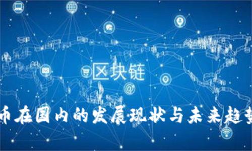 虚拟币在国内的发展现状与未来趋势分析