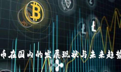 虚拟币在国内的发展现状与未来趋势分析
