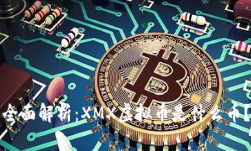 全面解析：XMX虚拟币是什么币？