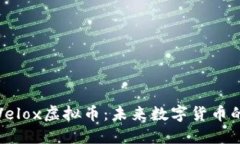 深入了解Velox虚拟币：未来
