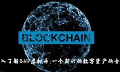 深入了解BHP虚拟币：一个