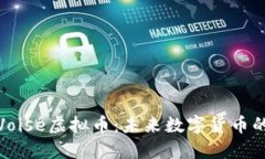 深入了解Voise虚拟币：未来