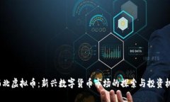 缅北虚拟币：新兴数字货