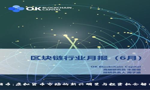 猪币：虚拟货币市场的新兴明星与投资机会解析