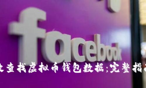 如何高效查找虚拟币钱包数据：完整指南与技巧