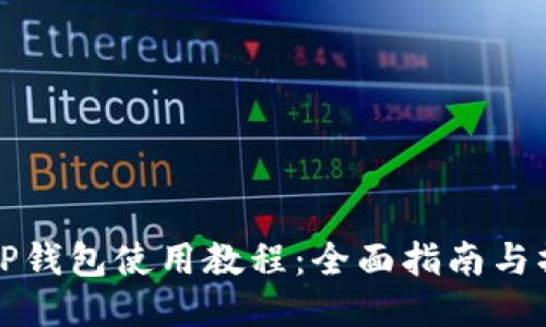 电脑端TP钱包使用教程：全面指南与操作步骤