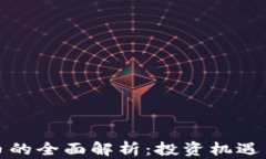 世通虚拟币的全面解析：