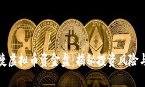 宝时捷虚拟币资金盘：揭秘投资风险与机遇