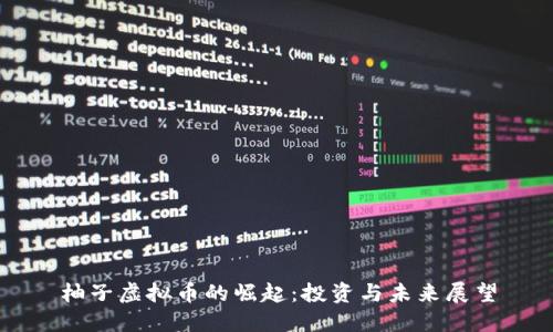 柚子虚拟币的崛起：投资与未来展望