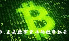 IDAG虚拟币：未来数字货币