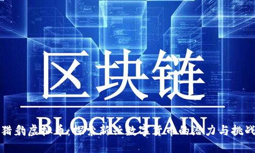 猎豹虚拟币：探索新兴数字货币的潜力与挑战