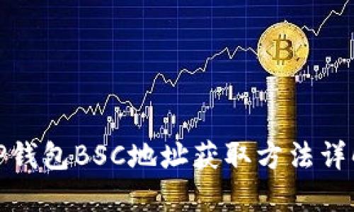 TP钱包BSC地址获取方法详解