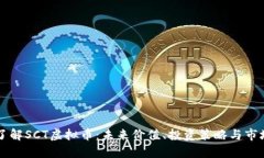 深入了解SCT虚拟币：未来