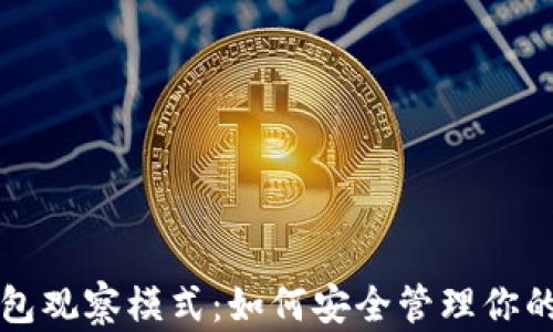 
探秘TP钱包观察模式：如何安全管理你的数字资产
