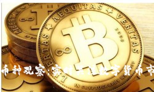TP钱包币种观察：实时关注数字货币市场动态