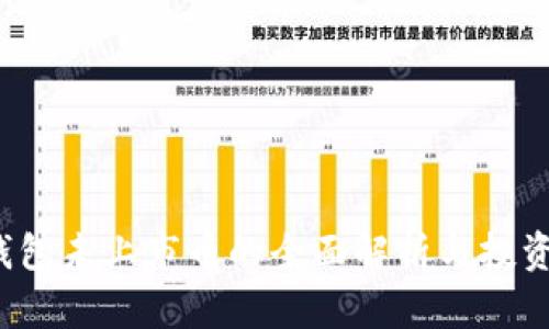  tp钱包未上市币的全面解析与投资指南
